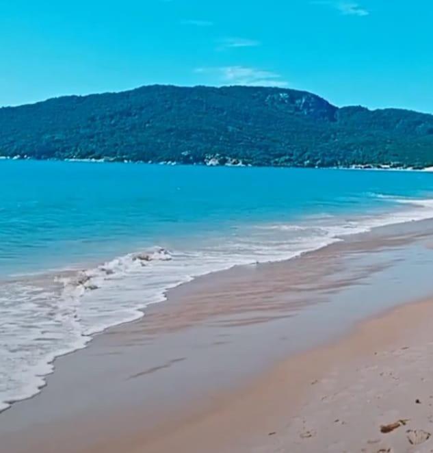 Quarto Nos Ingleses Em Casa Compartilhada,sem Banheiro Privativo * Florianopolis